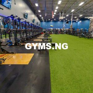 <div><span class="title-com">Fit-4-Life Gyms</span> – Lagos</div>